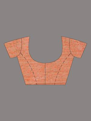 elegant orange tissue saree with intricate border 4
