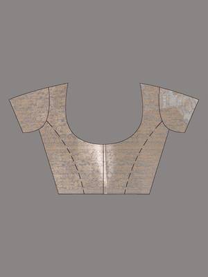elegant grey tissue saree with intricate border 5