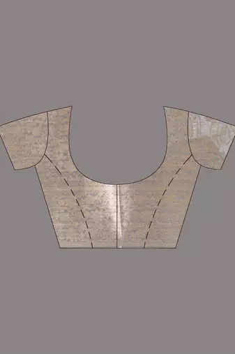 elegant grey tissue saree with intricate border