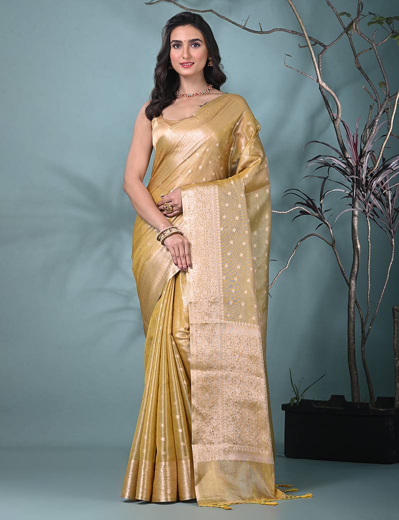 elegant yellow tissue saree with intricate border