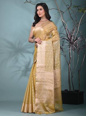 elegant yellow tissue saree with intricate border 2