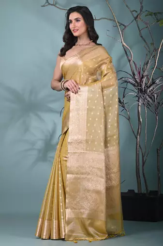 elegant yellow tissue saree with intricate border