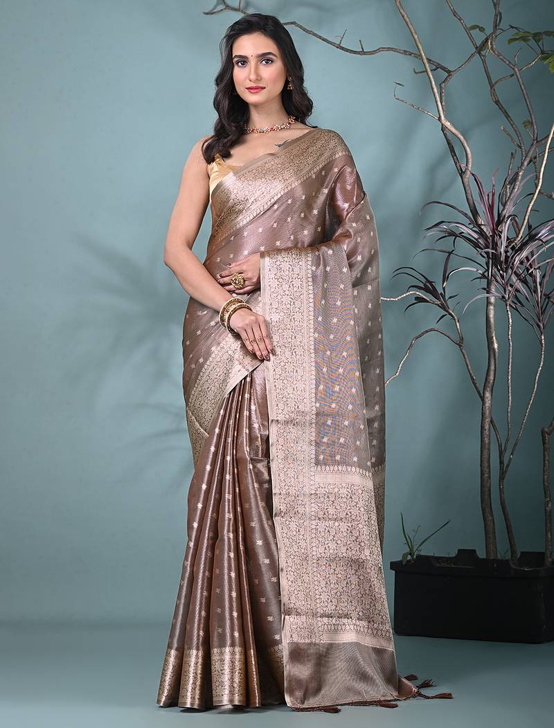 elegant brown tissue saree with intricate border