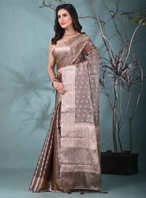 elegant brown tissue saree with intricate border 2