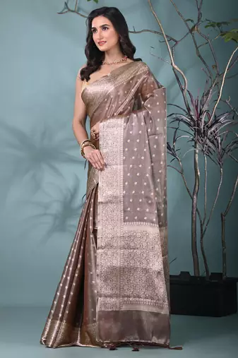 elegant brown tissue saree with intricate border
