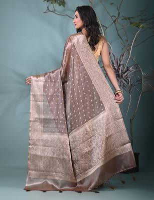 elegant brown tissue saree with intricate border 3