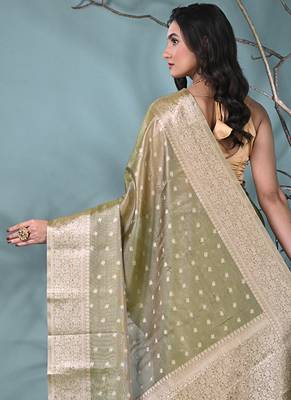 elegant sap green tissue saree with intricate border 3