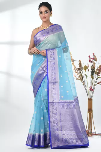 sky blue organza saree with floral motifs and blue border