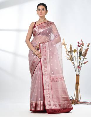 nude pink organza saree with floral motifs and blue border 1