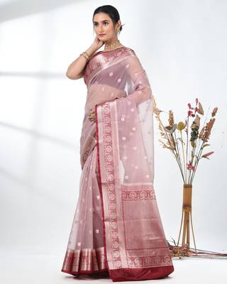 nude pink organza saree with floral motifs and blue border 2