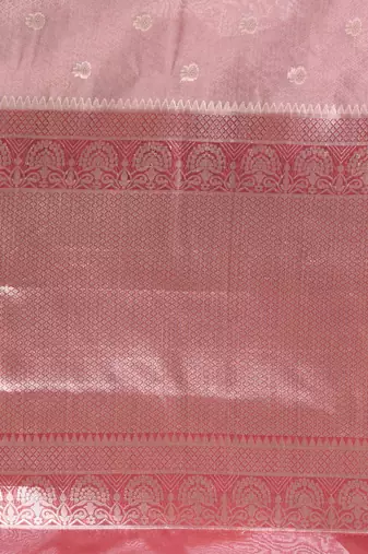 nude pink organza saree with floral motifs and blue border