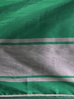 green tissue saree with intricate silver zari border 4