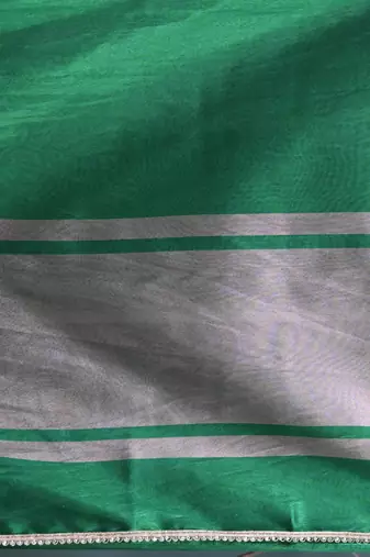 green tissue saree with intricate silver zari border
