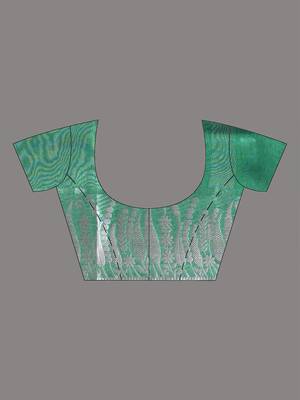 green tissue saree with intricate silver zari border 5