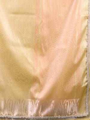 yellow tissue saree with intricate silver zari border 4