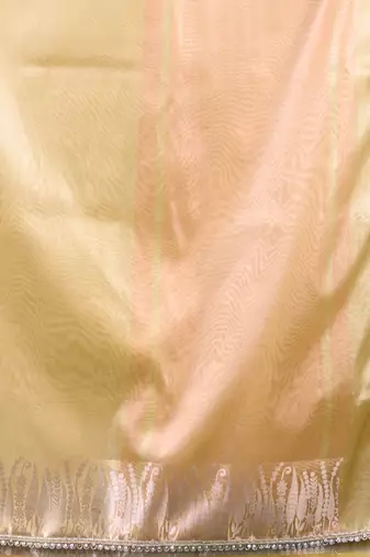 yellow tissue saree with intricate silver zari border