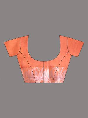 orange tissue saree with intricate silver zari border 5