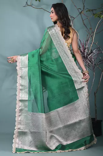green tissue saree with gotapatti detailing and elegant border