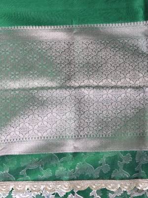 green tissue saree with gotapatti detailing and elegant border 4