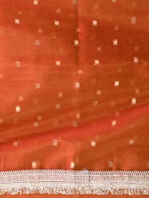 orange tissue saree with gotapatti detailing 4