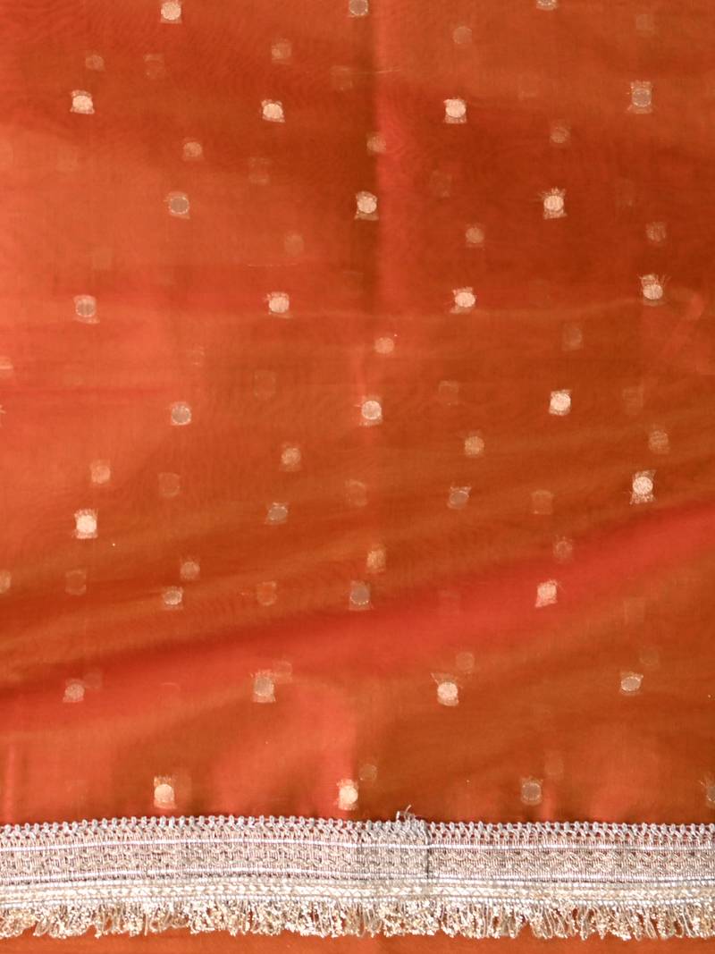 orange tissue saree with gotapatti detailing