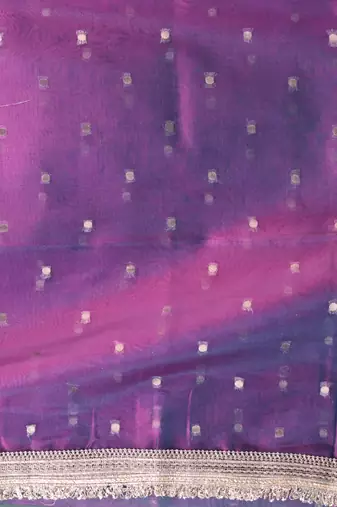 purple tissue saree with gotapatti detailing