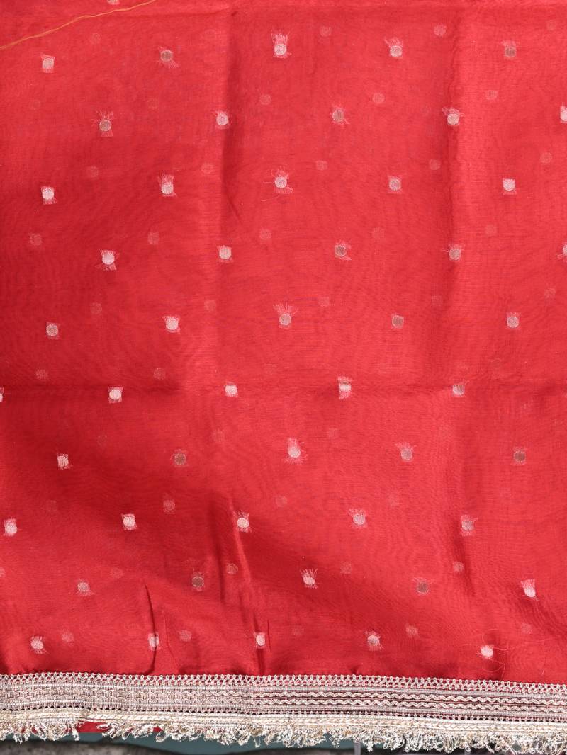 red tissue saree with gotapatti detailing