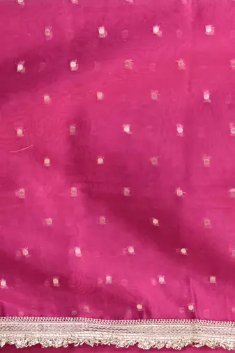 pink tissue saree with gotapatti detailing
