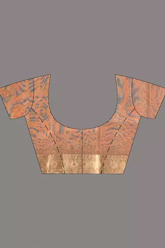 copper tissue saree with stone detailing