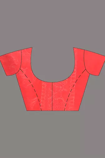 red georgette saree with silver border and detailing