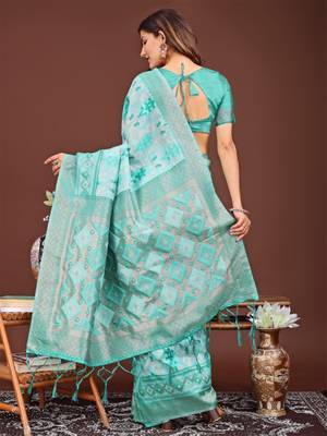 Sky blue banarasi silk saree with blouse 3