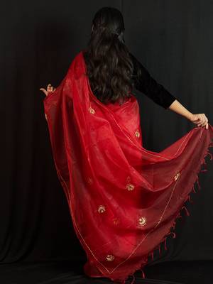 Red organza saree with hand embroidered work 2