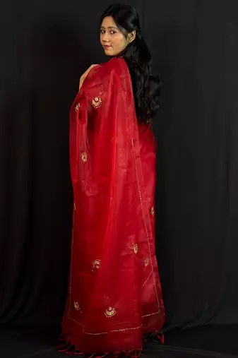 Red organza saree with hand embroidered work