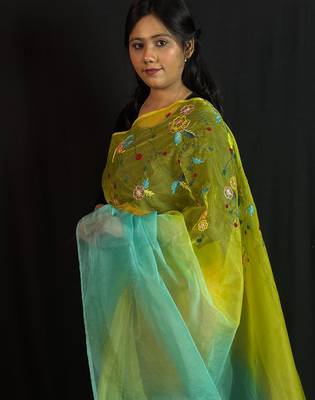 Green organza saree with hand embroidered work 2