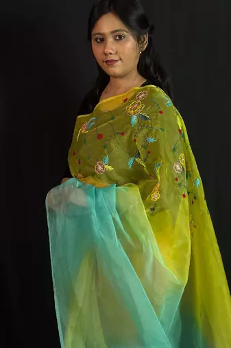 Green organza saree with hand embroidered work