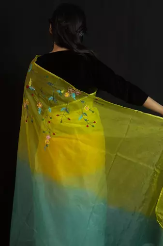 Green organza saree with hand embroidered work