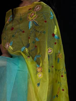 Green organza saree with hand embroidered work 4
