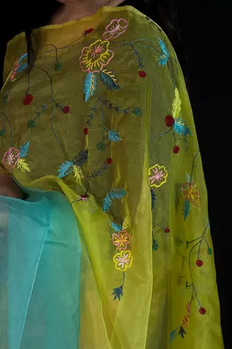 Green organza saree with hand embroidered work