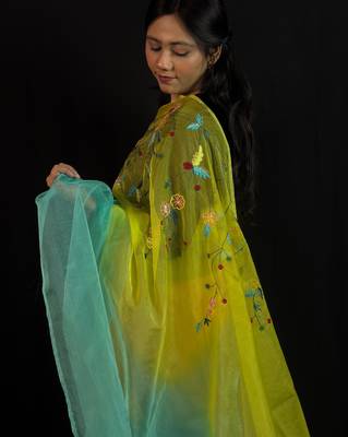 Green organza saree with hand embroidered work 5