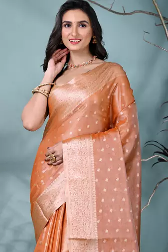 elegant orange tissue saree with intricate border