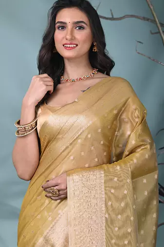 elegant yellow tissue saree with intricate border