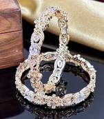 Traditional punjabi chooda for brides