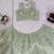 Pista Green Net embroidered Lehenga Choli Set with dupatta