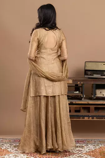 gold tone organza embroidered sharara set