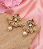 Rani color matte gold earrings