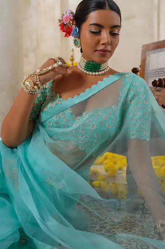 Blue embroidered organza saree