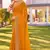 mustard zari embroidered stone border georgette designer saree for women