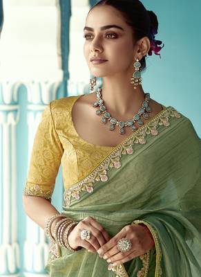 Pista glass tissue embroidery & sequence work designer saree 2