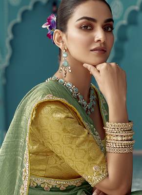 Pista glass tissue embroidery & sequence work designer saree 4