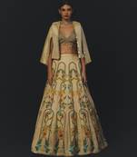 Beige Printed Tissue Lehenga Set